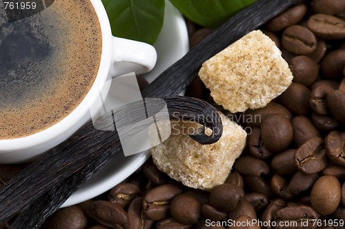 Image of aroma coffee with vanilla and coffee branch