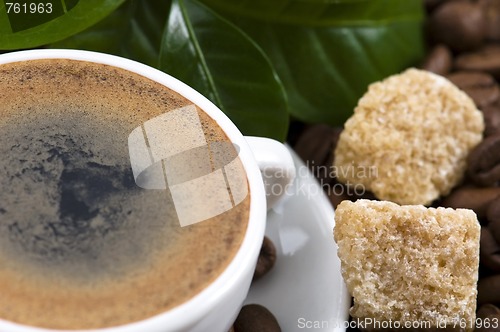 Image of fresh coffee with coffee branch