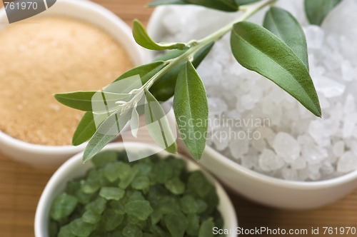 Image of fresh olive branch and bath salt. spa