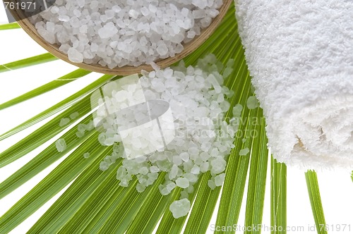 Image of bath salt and palm leaf