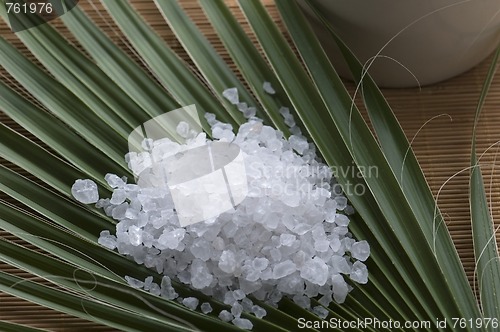 Image of bath salt and palm leaf