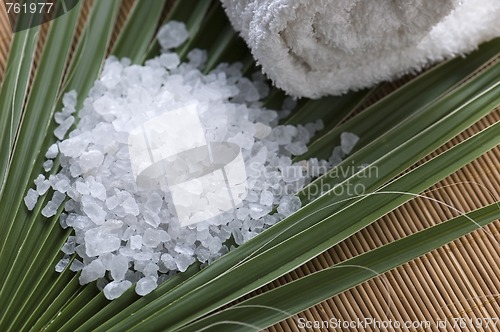 Image of bath salt and palm leaf