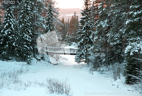 Image of Winter creek