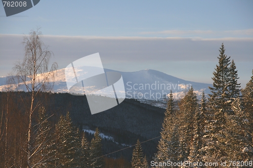 Image of Winter landscape