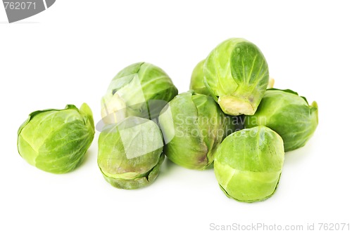 Image of Isolated brussels sprouts