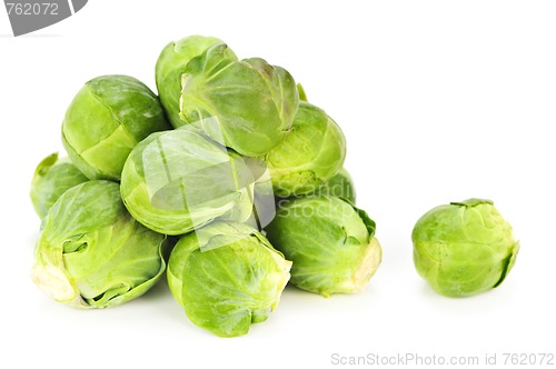 Image of Isolated brussels sprouts