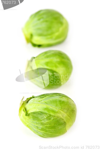 Image of Isolated brussels sprouts