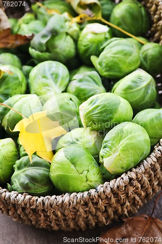 Image of Basket of brussels sprouts