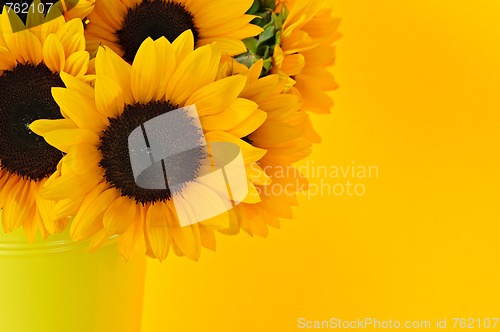 Image of Sunflowers in vase