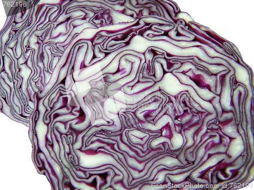 Image of Red cabbage