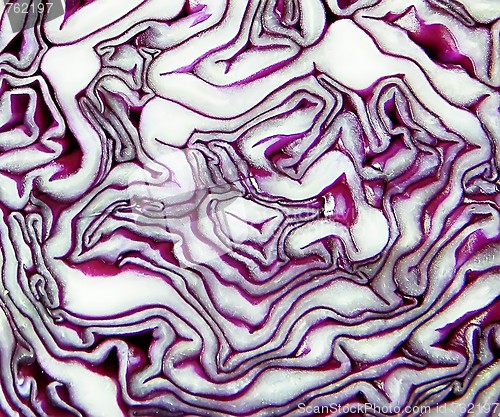 Image of Red cabbage