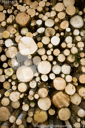 Image of Logs storage