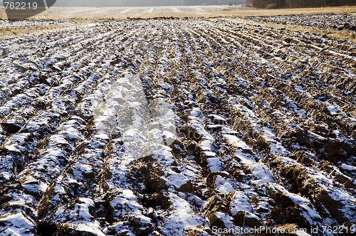 Image of Ploughed field