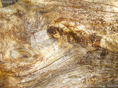 Image of Wooden texture