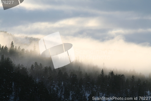 Image of Foggy day