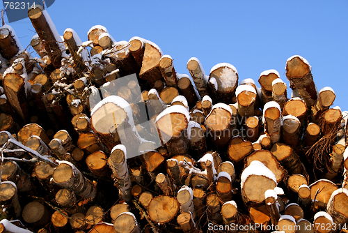 Image of Spruce and Birch Wood Energy