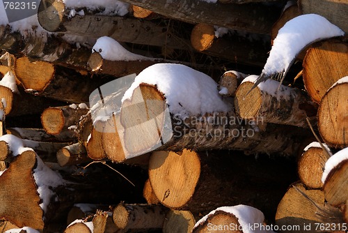 Image of Wood For Energy