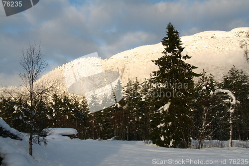 Image of Frosty landscape