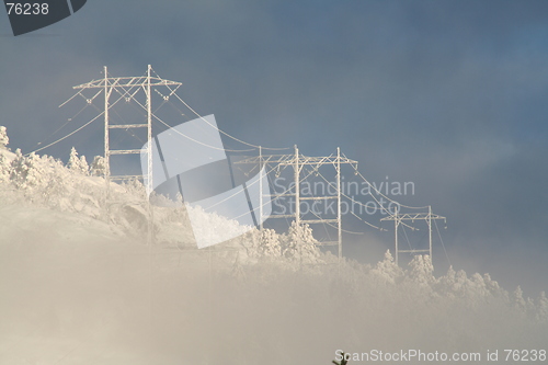 Image of Frozen masts