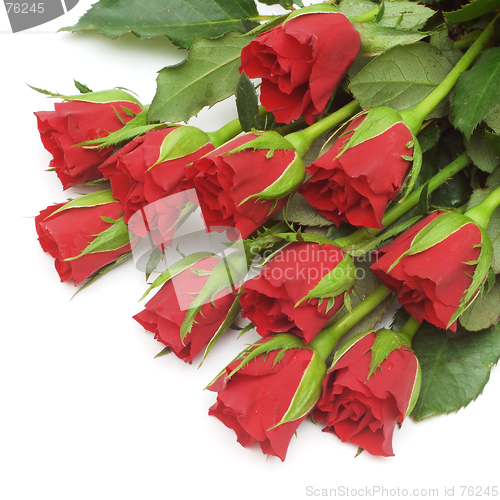 Image of Red roses