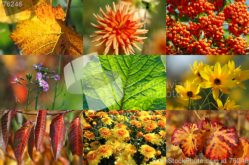 Image of Autumn collection
