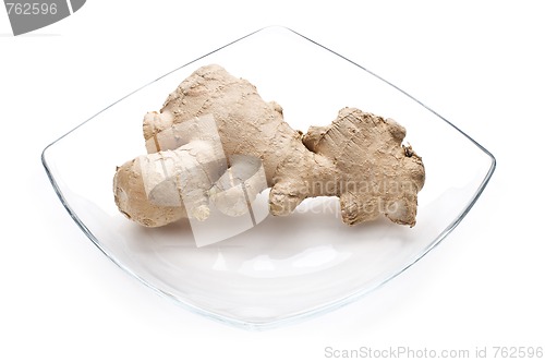 Image of Ginger