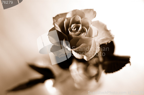 Image of Rose in sepia