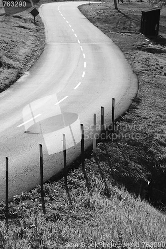 Image of Road In A Park