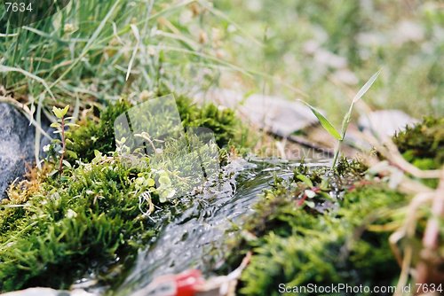 Image of mountain spring