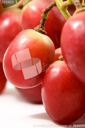 Image of Ripe grapes isolated
