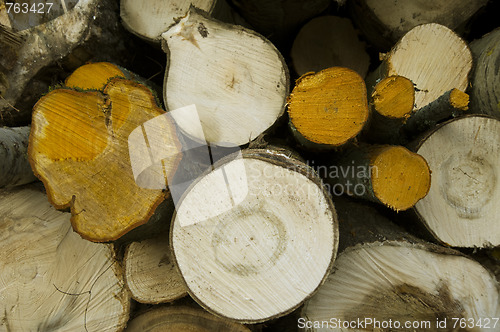 Image of Logs storage