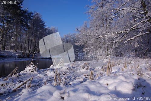 Image of winter landscape