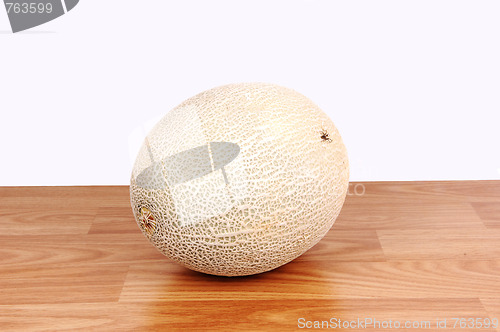 Image of A big cantaloupe.