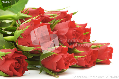 Image of Red roses