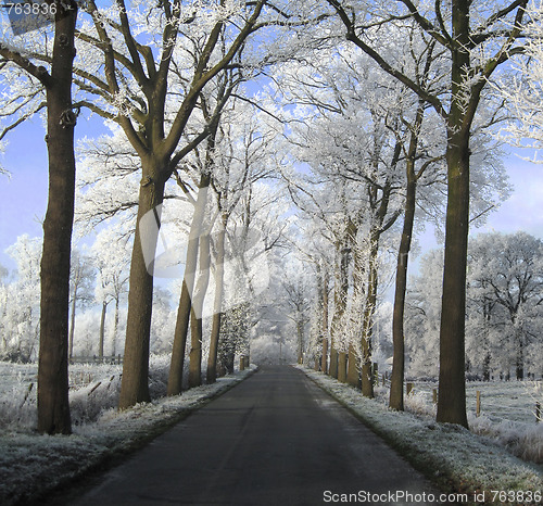 Image of Winter Belgium