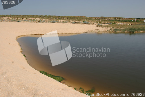 Image of coast in the summer