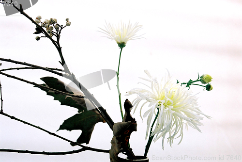 Image of flower arrangement