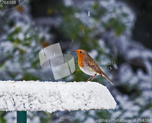 Image of Robin on snowy feeder