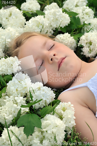 Image of Little girl laying in flowers - snowball