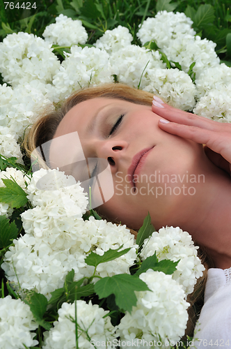 Image of Young woman laying in flowers - snowballs