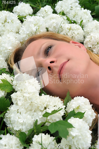 Image of Young woman laying in flowers - snowballs