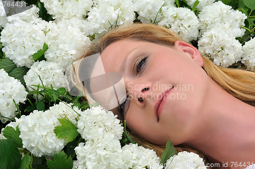 Image of Young woman laying in flowers - snowballs