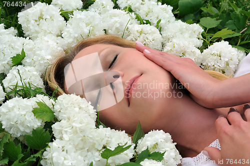 Image of Young woman laying in flowers - snowballs