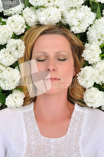 Image of Young woman laying in flowers - snowballs