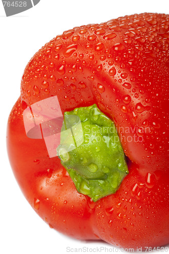 Image of excellent red pepper with water drops on