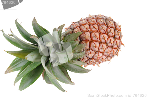 Image of Pineapple