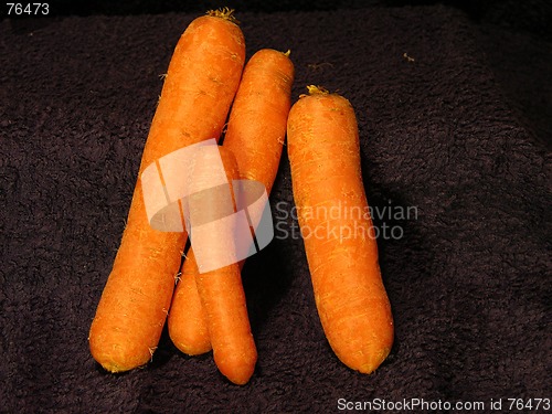 Image of Carrot 2