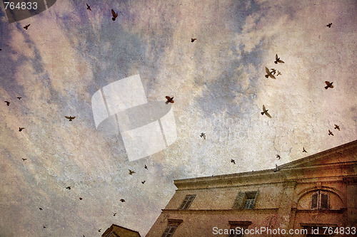 Image of Birds against the sky