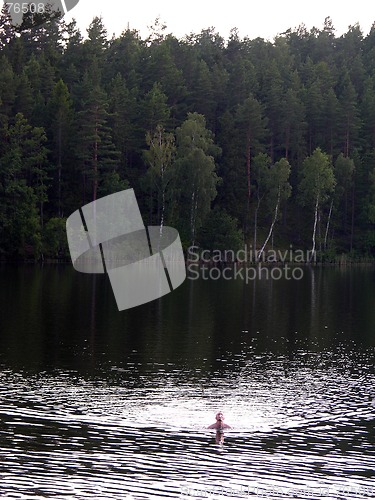 Image of Swimming