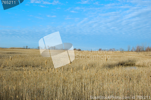 Image of Dry Land